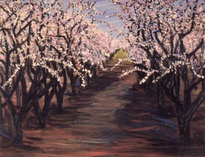 Almond Trees