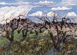 Apple Blossoms, Sebastopol