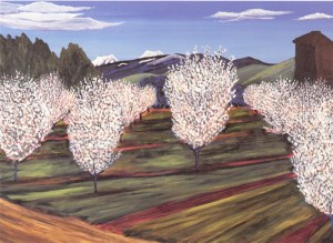 Young Almond Trees