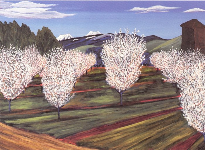 Young Almond Trees