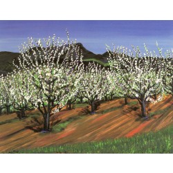 Graton Apples