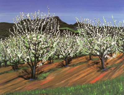 Graton Apples