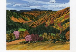 Hill at Warton Hollow, Schorarie County, NY