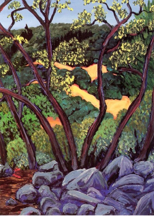 Rocks and Trees