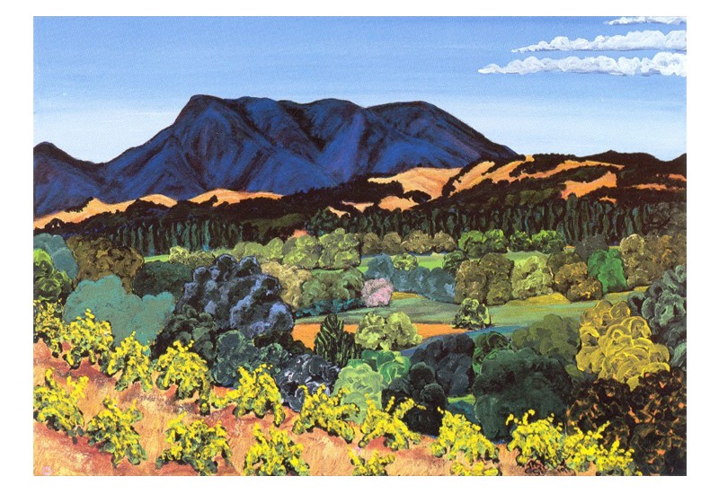 Sonoma Vines