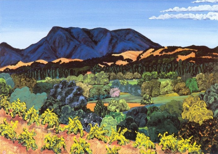 Sonoma Vines