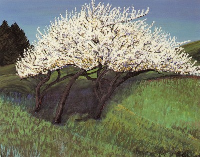Three Plums