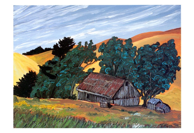 Wind, Old Barn, Marin