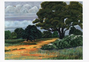 Fog, Oak, Laguna